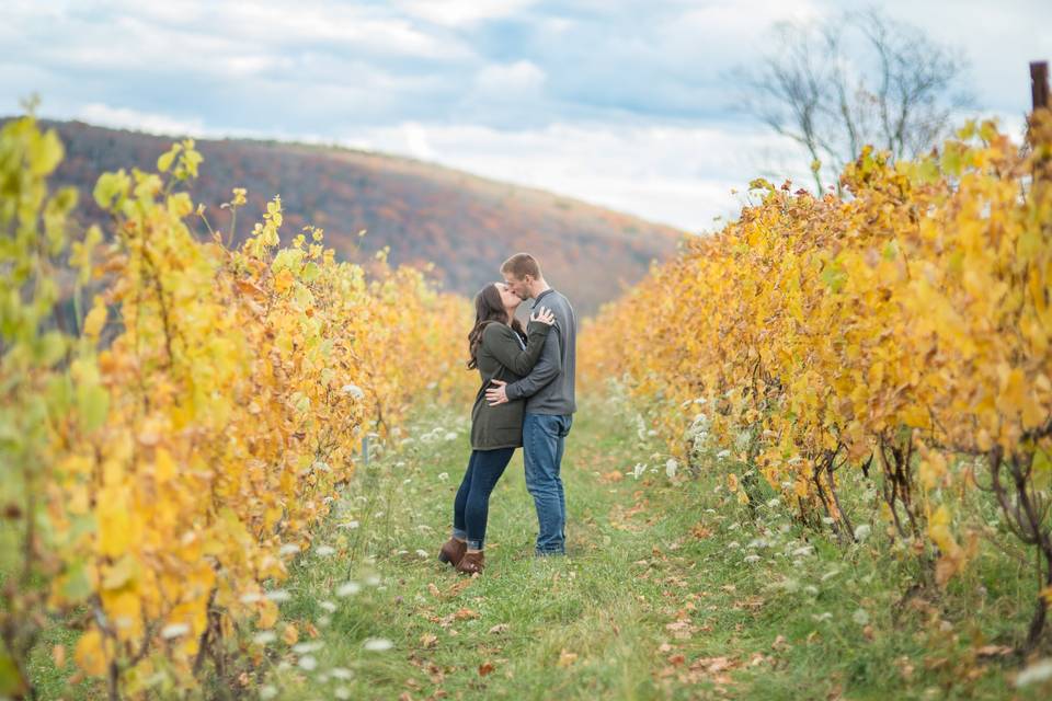 Engagement in the vineyard