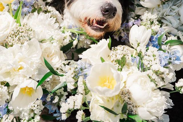 Special bridesmaid