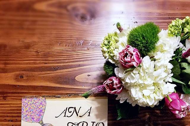Velvet Chaos Co.