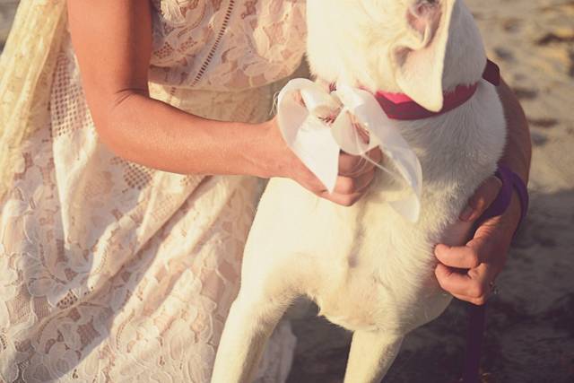 Katie Nemeth Photography
