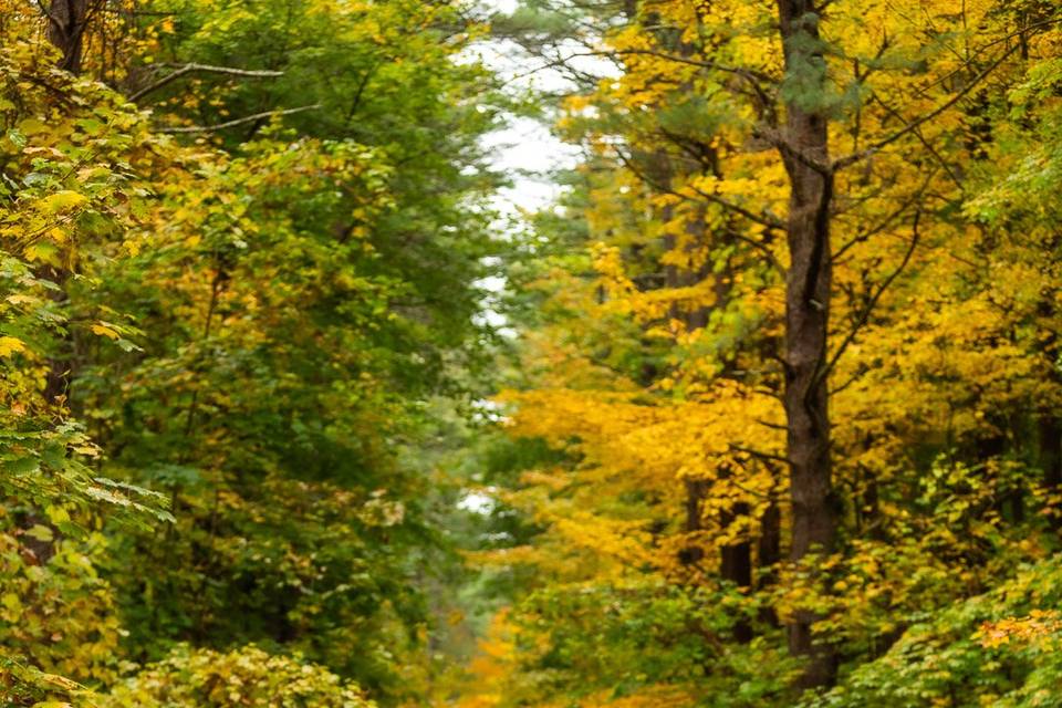 Harvest/Fall engagement
