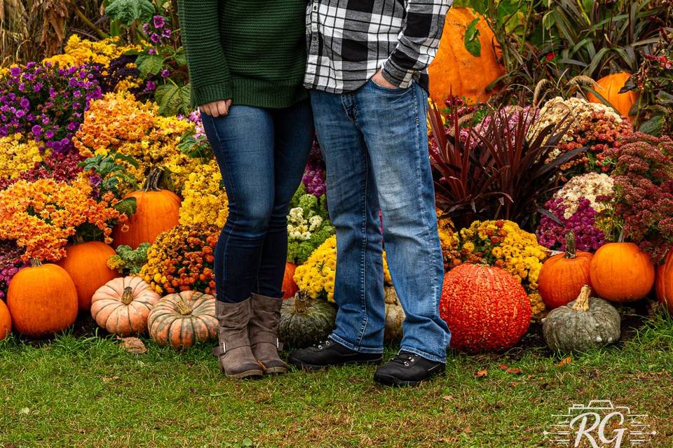 Harvest/Fall engagement