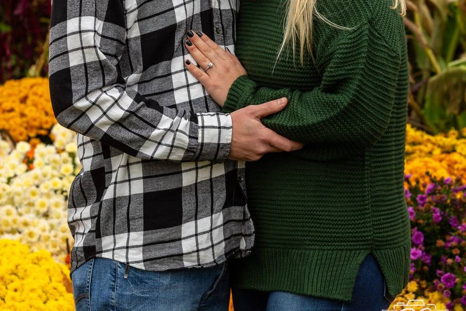 Harvest/Fall engagement