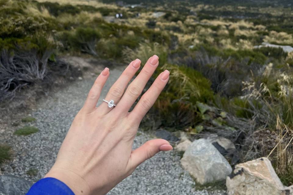 New Zealand Proposal