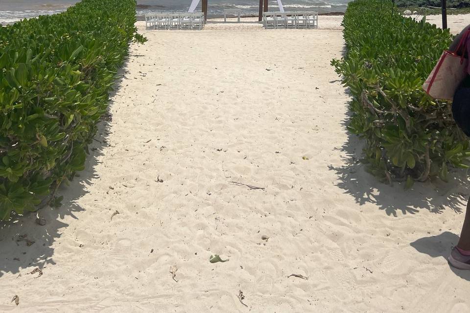 Beach Wedding