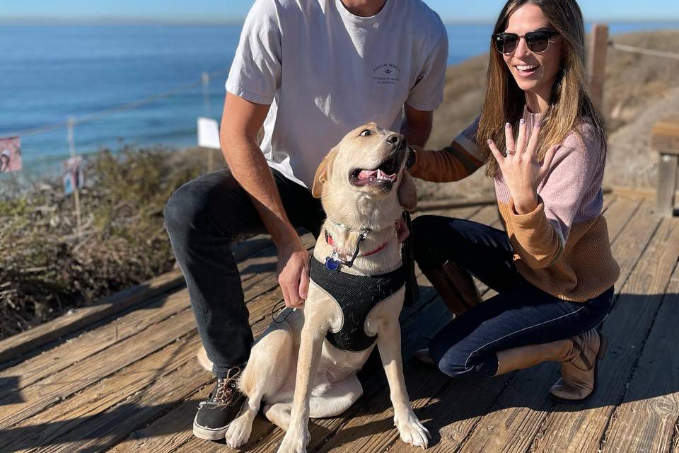 Proposal She said Yes