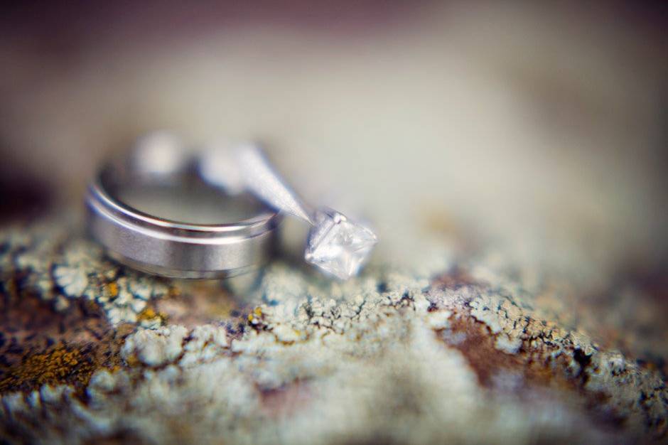 Amy Hallenius Photography