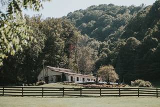 The Fields of Blackberry Cove