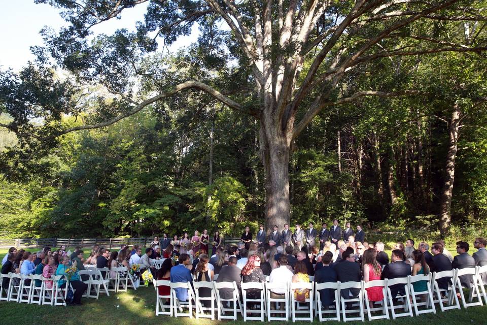 Tree ceremony