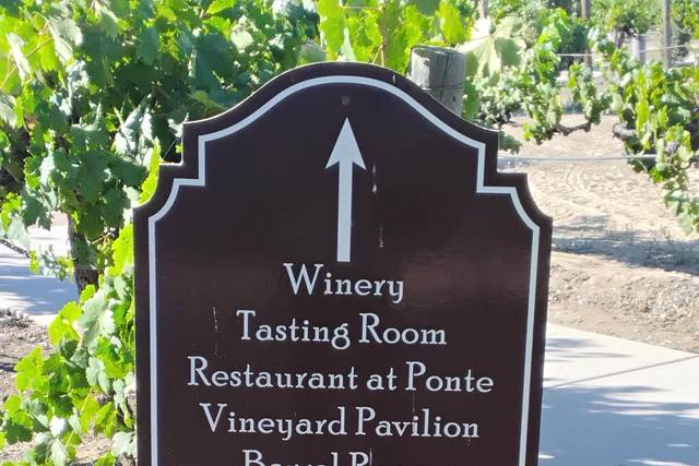 Ponte Vineyard