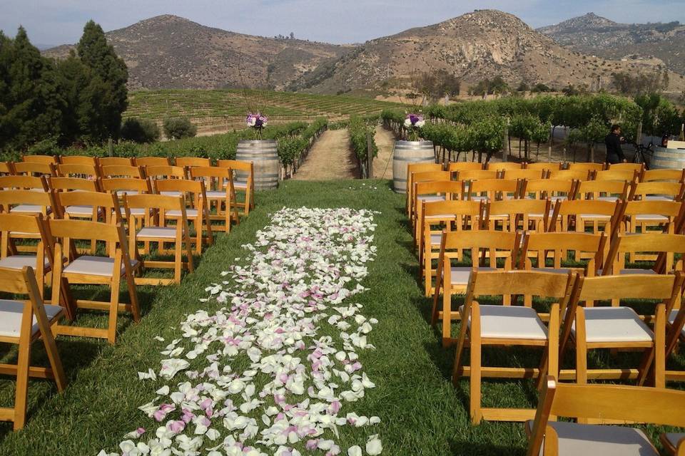 North Bay Area Wedding Officiant & Napa Wedding Officiant for St. Helena vineyard wedding