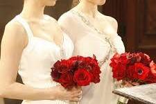 North Bay Area Wedding Officiant & Napa Wedding Officiant for Same-Sex Elegant Weddings, Gay Weddings
