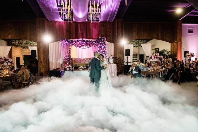 Talia Felicia Gainesville WED