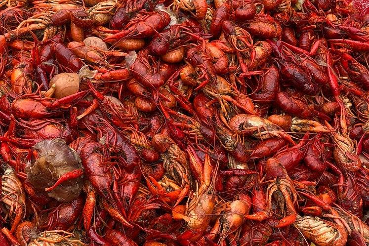 Down the Bayou Boiling And Catering