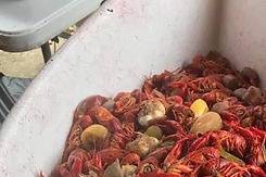 Down the Bayou Boiling And Catering