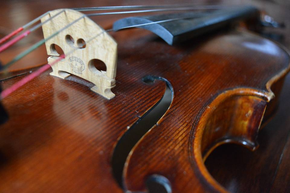 A closeup of the violin