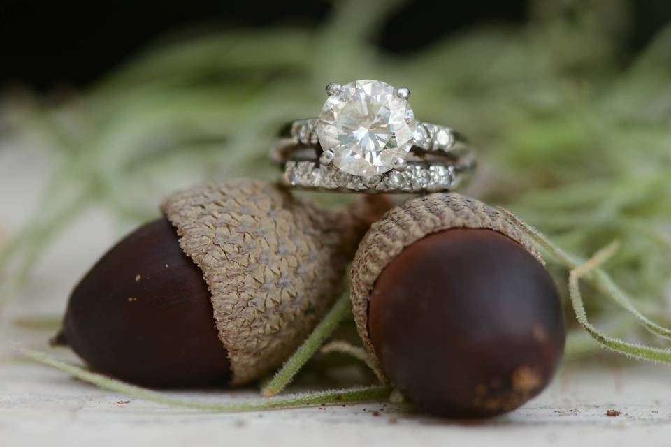 Amy Gray Photography
