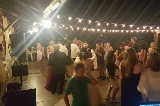 Wedding party