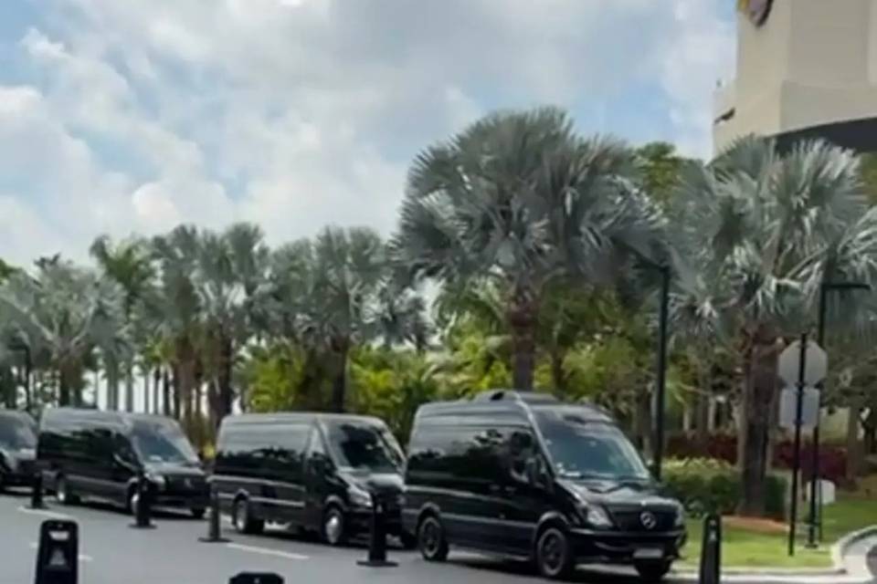 Mercedes Sprinter vans for gro