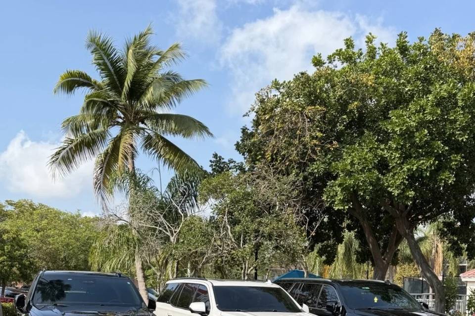 Cadillac Escalade fleet
