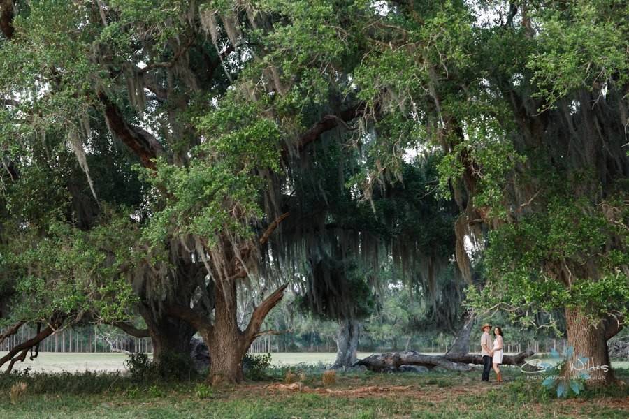 Bird Island Lake Ranch