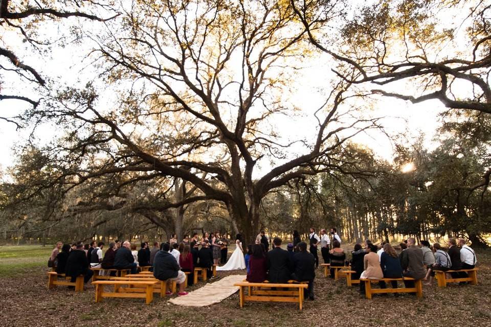 Bird Island Lake Ranch