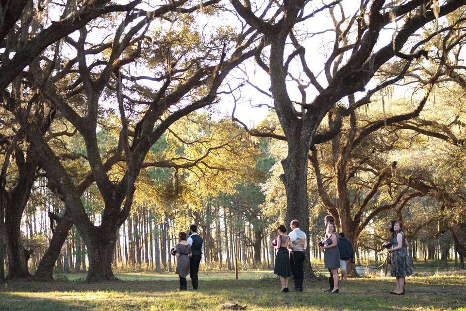 Bird Island Lake Ranch