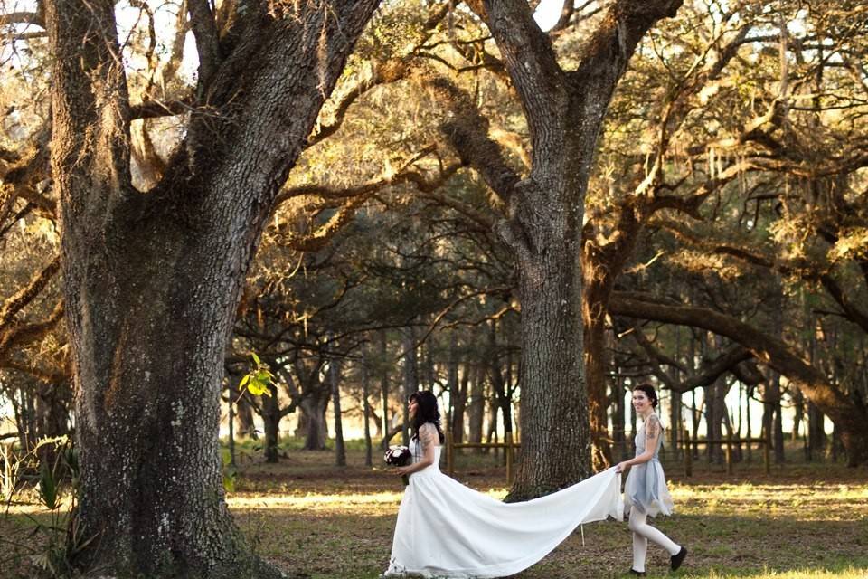 Bird Island Lake Ranch