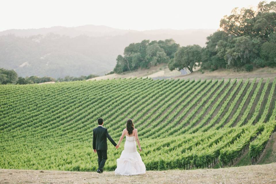 Overlooking the field