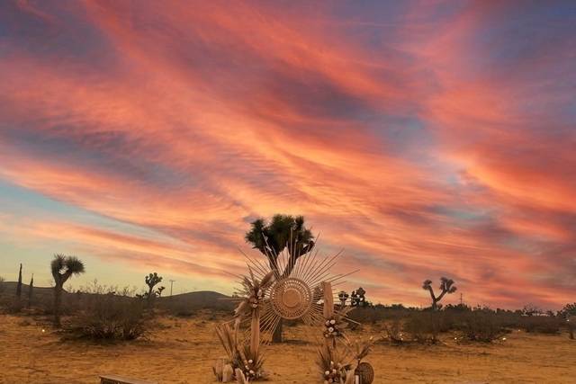 Joshua tree area for ceremony