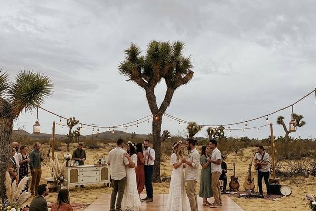 Joshua Tree area reception