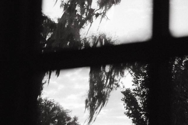 Front window view