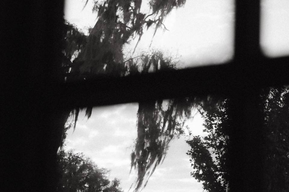 Front window view