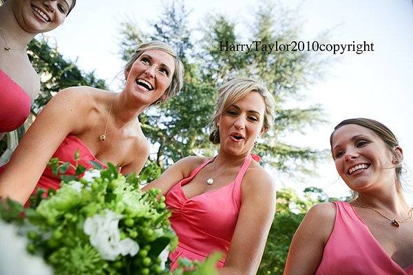 Harry Taylor Photography