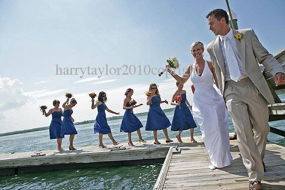 Harry Taylor Photography