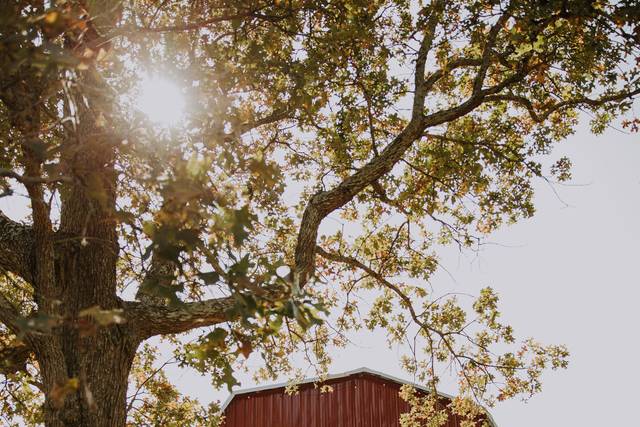 The Barn