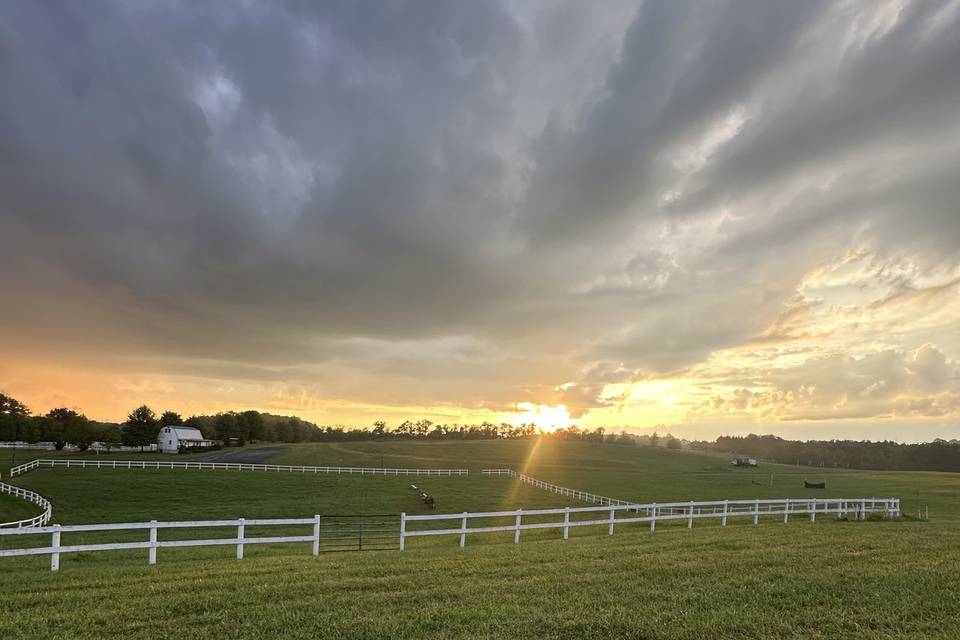 Gorgeous Sunsets