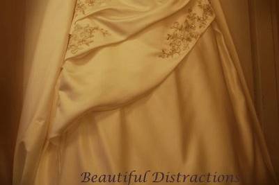 Beautiful Distractions Photography