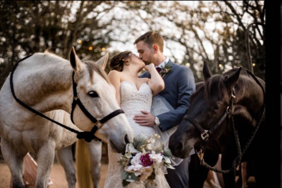 Newlyweds kissing between horses