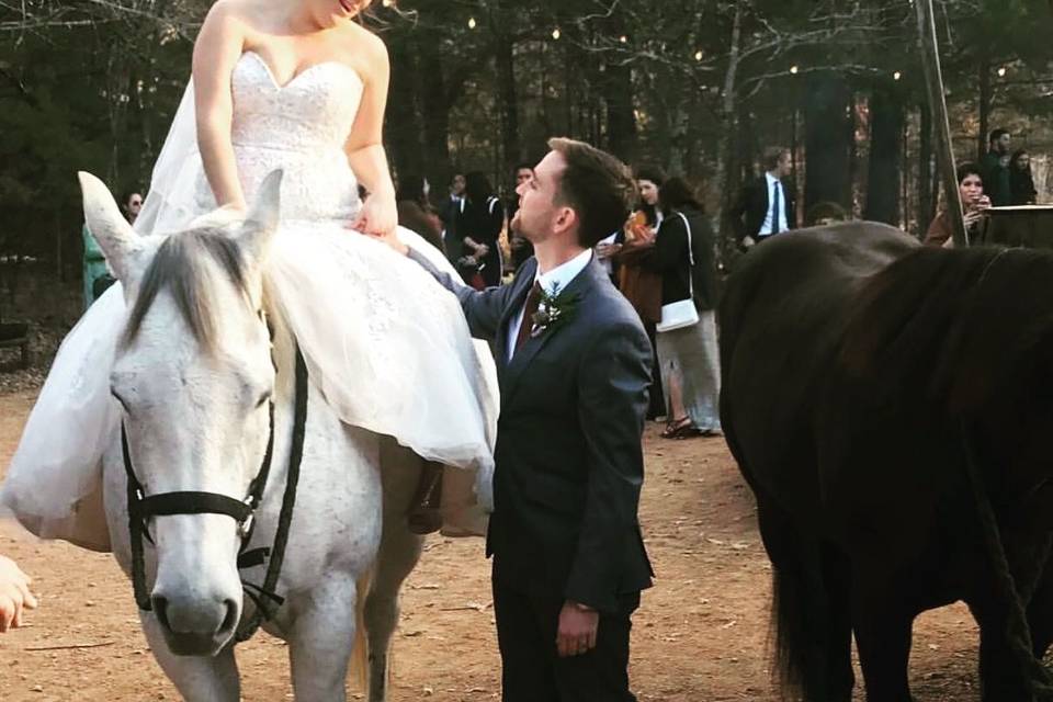 Bride on horseback