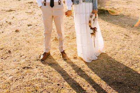 Joshua tree backdrop