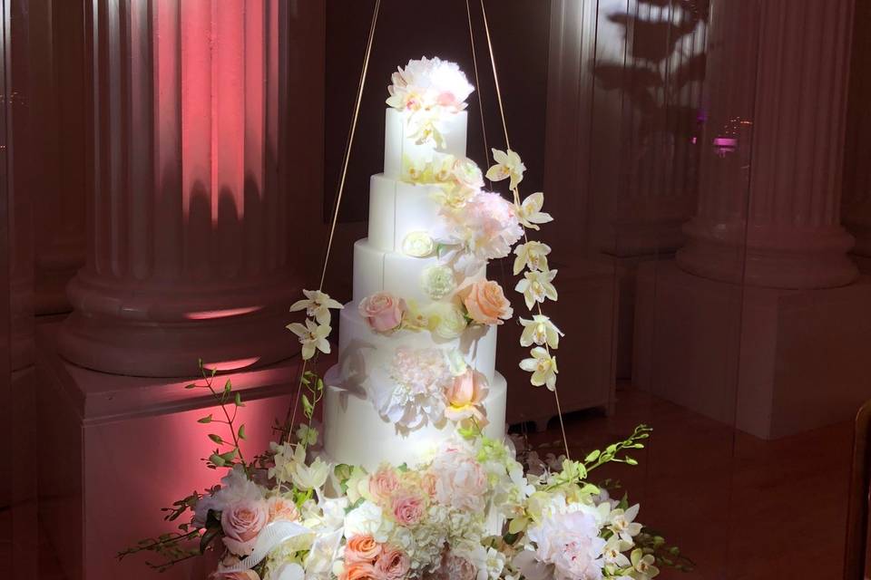 Amazing suspended cake