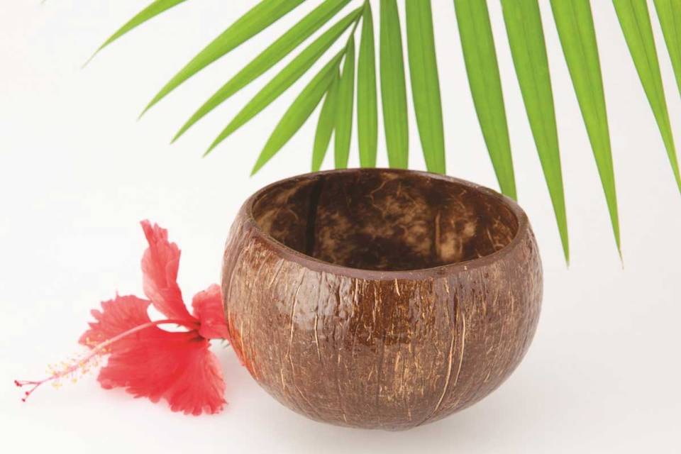 Real Coconut Cups! We carry quality Coconut Cups in several different styles. Best prices on the Internet. Bulk order discounts. We hand pick the best to ship to you! Tropaholic.com