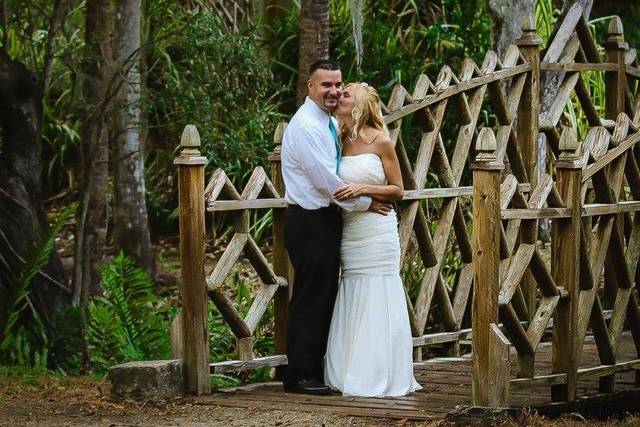 Jamie Nicole Photography