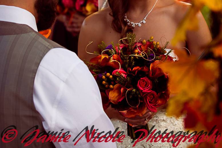 Jamie Nicole Photography