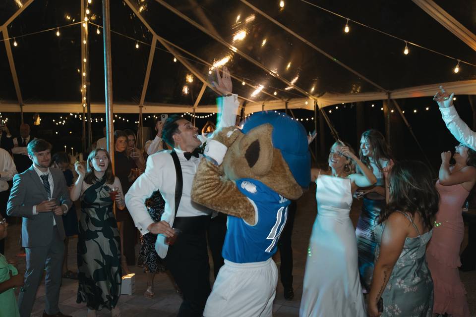 Wildcat Party