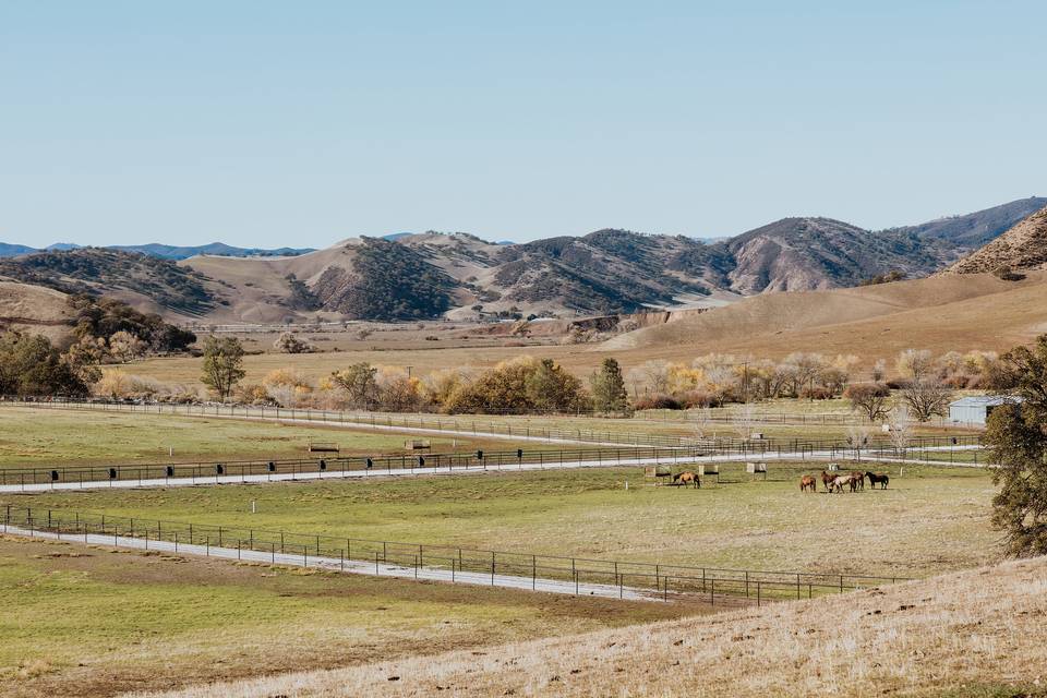 Bar SZ ranch pastures