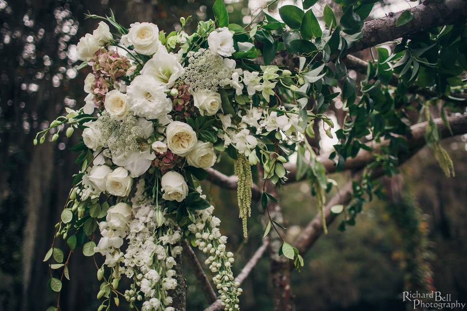 On A Limb Floral Studio