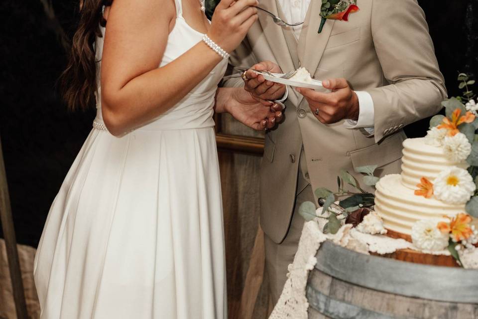 Cake Cutting