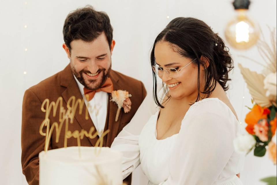 Cake Cutting